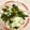 プリヲ's cooksnap of when they made ほうれん草のチーズ炒め.