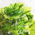 meiyui's cooksnap of when they made 【キャベツとしらすで簡単おかず】.