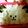 ma___111's cooksnap of when they made ヒツジ キャラ弁☆.