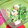 きゅーい's cooksnap of when they made 菜の花とちくわの☆マヨ塩コンブ和え.