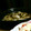 ★銀時★'s cooksnap of when they made トースターで★牡蠣のアヒージョ.