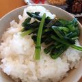 こうぶんママ's cooksnap of when they made 壬生菜（ミブナ）のお漬物.