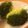 BiwacoJune's cooksnap of when they made 超簡単☆ブロッコリーのマリネ.
