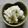 aymdr's cooksnap of when they made レンジで簡単★濃厚マッシュポテト.
