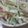 Candy　Girl's cooksnap of when they made 大根サラダ４.