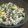三男もんぺ's cooksnap of when they made ローズ家のみじん切りサラダ.
