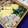 ｹﾛｯﾋﾟｰ's cooksnap of when they made ほうれん草としらすの簡単炒め☆.