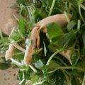 トニー・モンタナ's cooksnap of when they made 豆苗と鶏ササミのオリーブオイルサラダ.