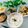 みどりの首輪's cooksnap of when they made 簡単♪いかのガーリックバター炒め☆.