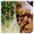 みさちゃん！'s cooksnap of when they made 鶏ももとかいわれ大根の甘辛焼.