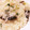 たつしま's cooksnap of when they made ［旨みたっぷり］精進だしの七草粥.