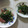 チョコチョコかえる's cooksnap of when they made ほうれん草のバター炒め.