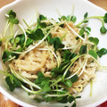 tinaya0208's cooksnap of when they made 簡単♪切り干し大根のサラダ♪.