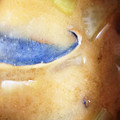 キュンキュン☆☆'s cooksnap of when they made 簡単、早い☆さばと大根の味噌煮.