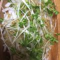ミルクトッポ's cooksnap of when they made 大根とじゃこのシャキシャキサラダ.