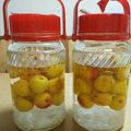kndmatsu's cooksnap of when they made 簡単美味の完熟梅酒☆まろやかﾌﾙｰﾃｨ！.
