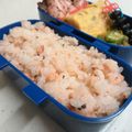ひーゆーママ's cooksnap of when they made ピンクレッドなウメ鮭マヨおにぎり♡.
