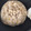 ☆ゆうは☆'s cooksnap of when they made ごぼうとじゃこのバター炒飯.