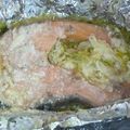 あむチャン's cooksnap of when they made みそバターでいただく鮭のホイル包み.