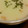 um1210's cooksnap of when they made 【簡単!計り不要】ビシソワーズ.