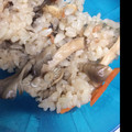 たぶんなっちゃん's cooksnap of when they made 鮭ときのこが香る炊き込みごはん.