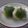 スタイリッシュママ's cooksnap of when they made 鮭と大葉のおにぎり.