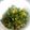 ニコとチャチャ's cooksnap of when they made 簡単！大根の葉☆めんつゆ炒め.