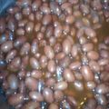 のいまいズ's cooksnap of when they made [ココナッツシュガー]金時豆の甘煮.