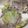 ぴょんきち♫'s cooksnap of when they made 豚バラと白菜、なんちゃって１人なべ！.