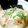 ﾏﾕｺｺ's cooksnap of when they made 酒粕ラーメン.
