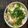 shizuku926's cooksnap of when they made やみつき塩キャベツもどき.