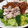 モーリーママ's cooksnap of when they made キャベツと豚しゃぶの梅じょうゆだれ.