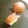 Hirarinn☆'s cooksnap of when they made 簡単　りんごの飾り切り　トナカイ風.