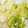 めがねりんご's cooksnap of when they made 一度漬けで簡単ウマっ！白菜漬け.