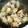 ミッキーメープル's cooksnap of when they made 母の味☆ごぼうの肉巻き.