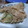 稲沢ゆり's cooksnap of when they made 梅でさっぱり♪里芋の和風ポテトサラダ.