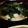 個覧夢's cooksnap of when they made 卵♡わかめ♡味噌汁in♡.