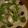 Jaye's cooksnap of when they made カキと豆苗の簡単中華炒め.