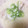 ゆぅこ0802's cooksnap of when they made 鱈のとろろ蒸し.