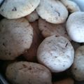 りこぼう's cooksnap of when they made あずきミルククッキー.
