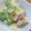 daikanon's cooksnap of when they made 材料3つで！シンプルポテトサラダ.