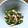 rufum's cooksnap of when they made オクラとチーズのかつお節&焼肉タレ和え.
