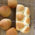 あむちこ's cooksnap of when they made ﾚｰｽﾞﾝ&ｵﾚﾝｼﾞﾋﾟｰﾙのﾊﾟﾝ.