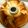 あこねぇ311's cooksnap of when they made ヨーグルトシフォン.