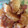 natsuたろう's cooksnap of when they made 大根と赤かぶの煮物.