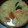 SHION◎'s cooksnap of when they made 体が芯から暖まる母直伝のおいしい粕汁.