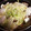 れふ☆☆☆☆'s cooksnap of when they made 白菜の酒蒸し鍋.