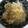 yunatan1211's cooksnap of when they made 白菜の卵とじ.