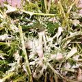 ハッピィ0730's cooksnap of when they made 簡単水菜とツナのサラダ.