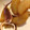 クックT4KDKJ☆'s cooksnap of when they made いかと大根の煮物.